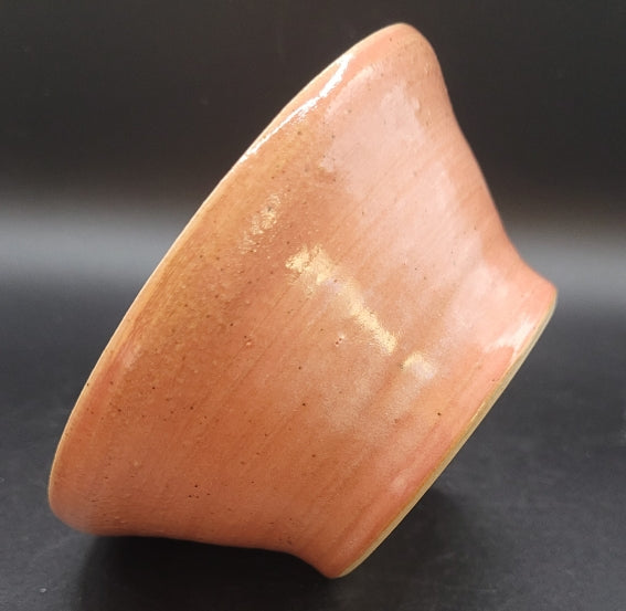 Bol rose saumon pour vos repas, vos apéros ou encore pour recevoir vos plantes d'intérieur (vue prise sur le coté)