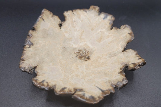 Vide-Poche Antique - Grès émaillé teintes pierre et lave inspiration civilisations anciennes