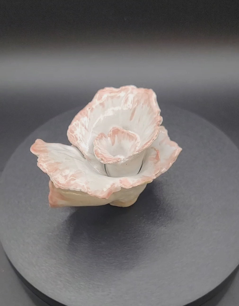 Vidéo sur support tournant de la rose en grès émaillé blanc et rose poudrée